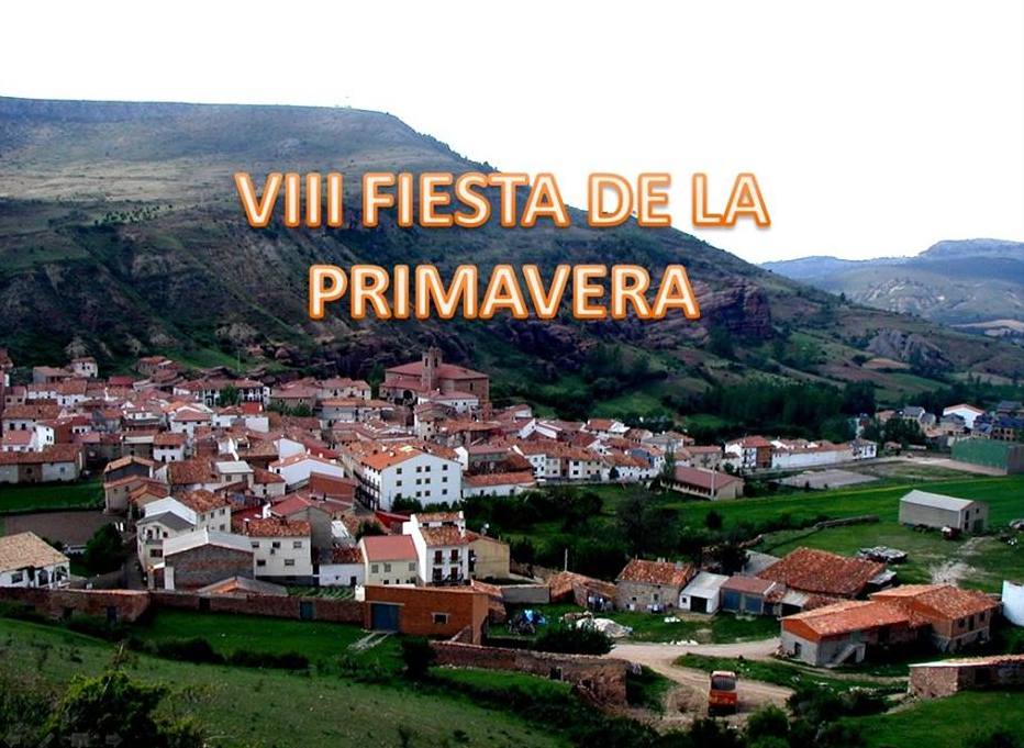 20140510-viii fiesta de la primavera