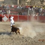 imagen-440
