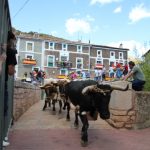 20120825-1235-tma-3497