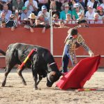 20120825-1842-tma-3774