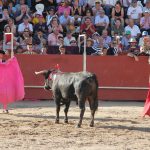 20120825-1844-tma-3810