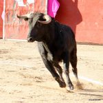 20120825-1915-tma-3862