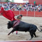 20120825-1952-tma-3987