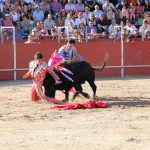 20110825-183452-tma-9947