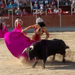 20130825-1838-tma-0149