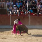 20130825-1900-tma-0231