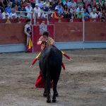 20130825-1937-tma-0326