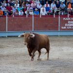 20130825-2009-tma-0370