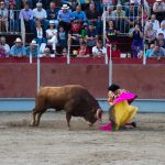 20130825-2010-tma-0378