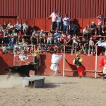 20120826-1833-tma-4279