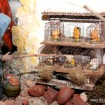 20121209-1128-tma-7273