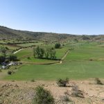 20140608-1053-tm2-3550