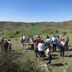 20140608-1103-tm2-3553