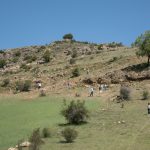 20140608-1150-tm2-3588