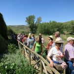 20140608-1210-tm2-3601