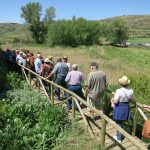 20140608-1211-tm2-3602