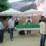 IMG_5901