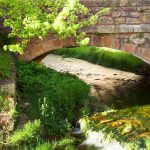 el-entorno-de-checa-marina-arrazola-mansilla-primavera-bajo-la-plaza
