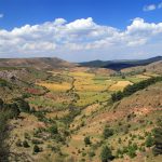 el-entorno-de-checa-victoriano-arauz-la-vega