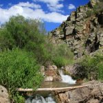 el-entorno-de-checa-victoriano-arauz-pasarela