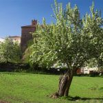 el-pueblo-de-checa-jose-luis-gardel-primavera