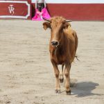 20130427-1525-tma-8790