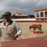 20130427-1538-tma-8854