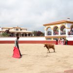 20130427-1542-tma-8871