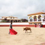 20130427-1542-tma-8872