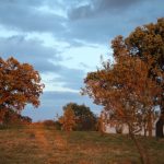 20130427-2055-tma-9255