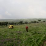 20130427-1227-LauraGr-4540
