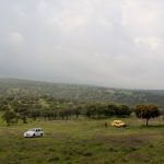 20130427-1230-LauraGr-4543