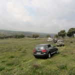 20130427-1231-LauraGr-4544
