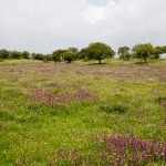 20130427-1251-tma-8604