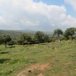 20130427-1329-LauraGr-4573
