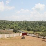 20130427-1458-FernandoG-8137