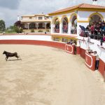 20130427-1500-tma-8714