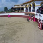 20130427-1501-LauraGr-4603