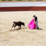 20130427-1502-tma-8725