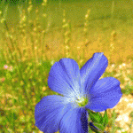 yprospero2007_170x225