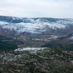 img_3155-1