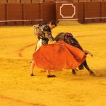 IMG_7207