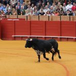 20130428-1905-Fernando-8293