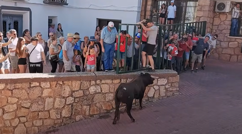 encierro toros 2023