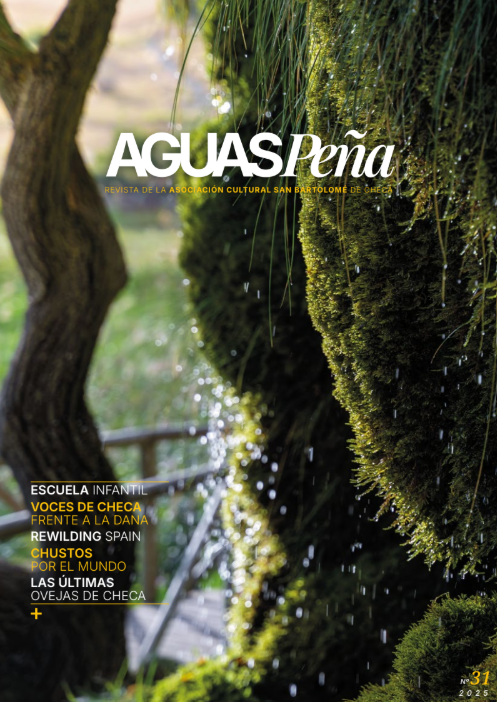 aguaspeña nº31-2025